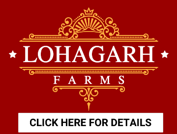 lohagarh farm